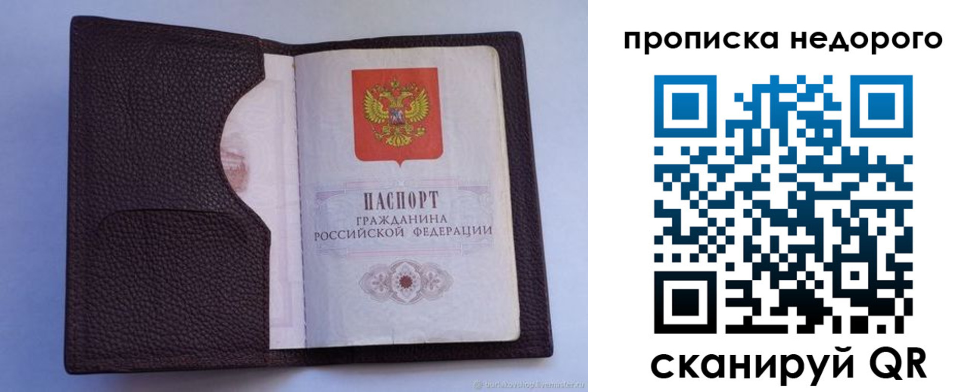 прописка законно в Онеге